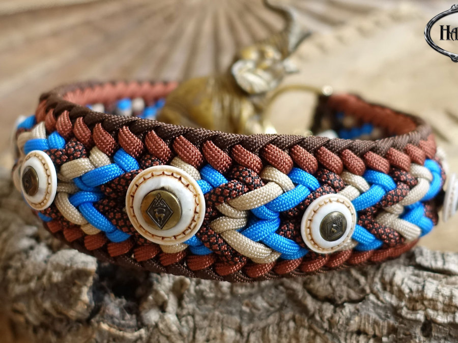 Halsband gefochten Afrika Ridgeback Dogge