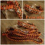 Gerbst Helloween Orange Halsband 