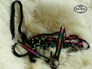 Paracord Halfter Vollblut geflochten