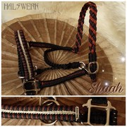 Halfter Araber geflochten Vollblut