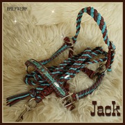 Halfter Western Türkise braun araber