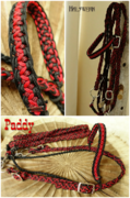 Wanderreitzaum, Trense, geflochten, Paracord, Western
