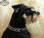 Paracord Halsband Zwergschnauzer