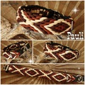 Hundehalsband geflochten indianisch paracord Raute