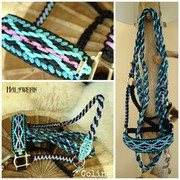 Vollblut Halfter geflochten Türkise Rose