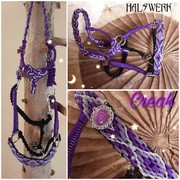 Hochzeit Vollbluthalfter geflochten Aravar Vollblut