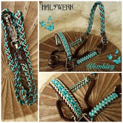 Pferdehalfter türkuse Western