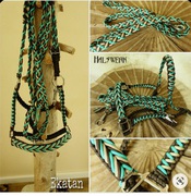 Araber Halfter geflochten indianisch türkise 