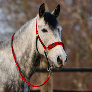 Halfter schwarz rot geflochten Paracord 