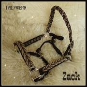 Halfter Western Naturtönen paracord geflochten 