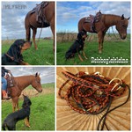 Reitbegleitleine methorische Leine Reitleine