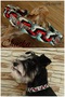 Hundehalsband geflochten indianisch xs schmal weich