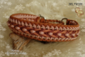 Hundehalsband geflochten Kupfer paracord 
